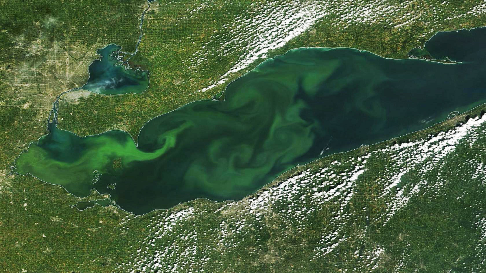 protect-the-great-lakes-from-factory-farm-pollution