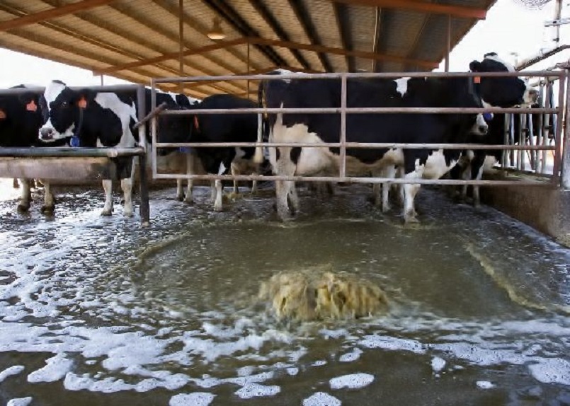 Protect the Great Lakes from factory farm pollution — AddUp.org