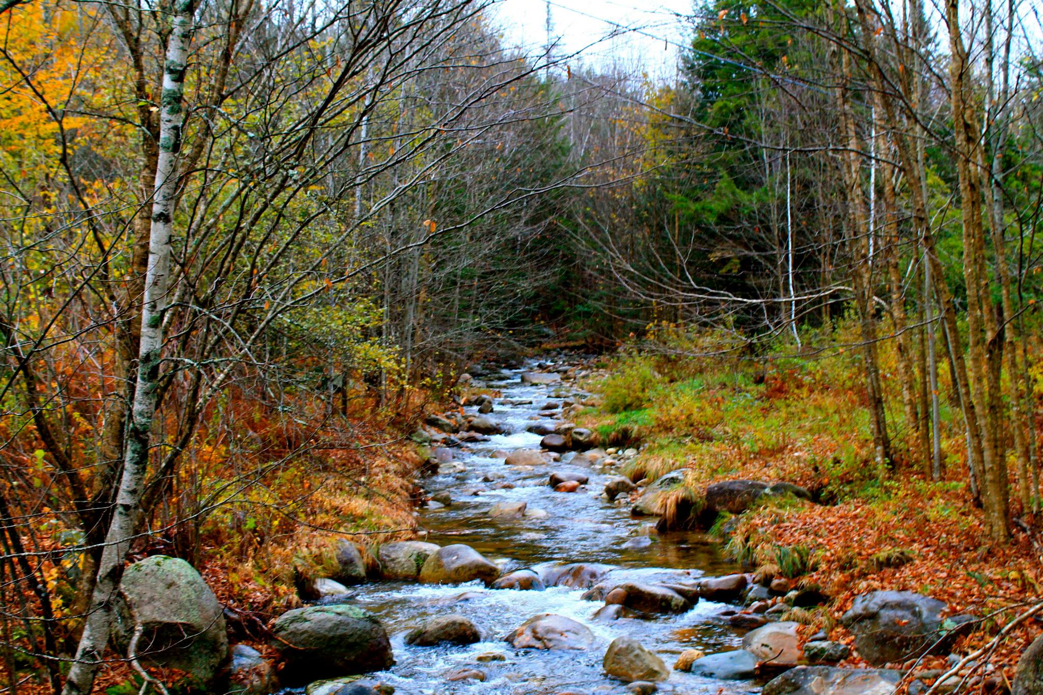 Don’t let President Trump’s EPA put drinking water at risk